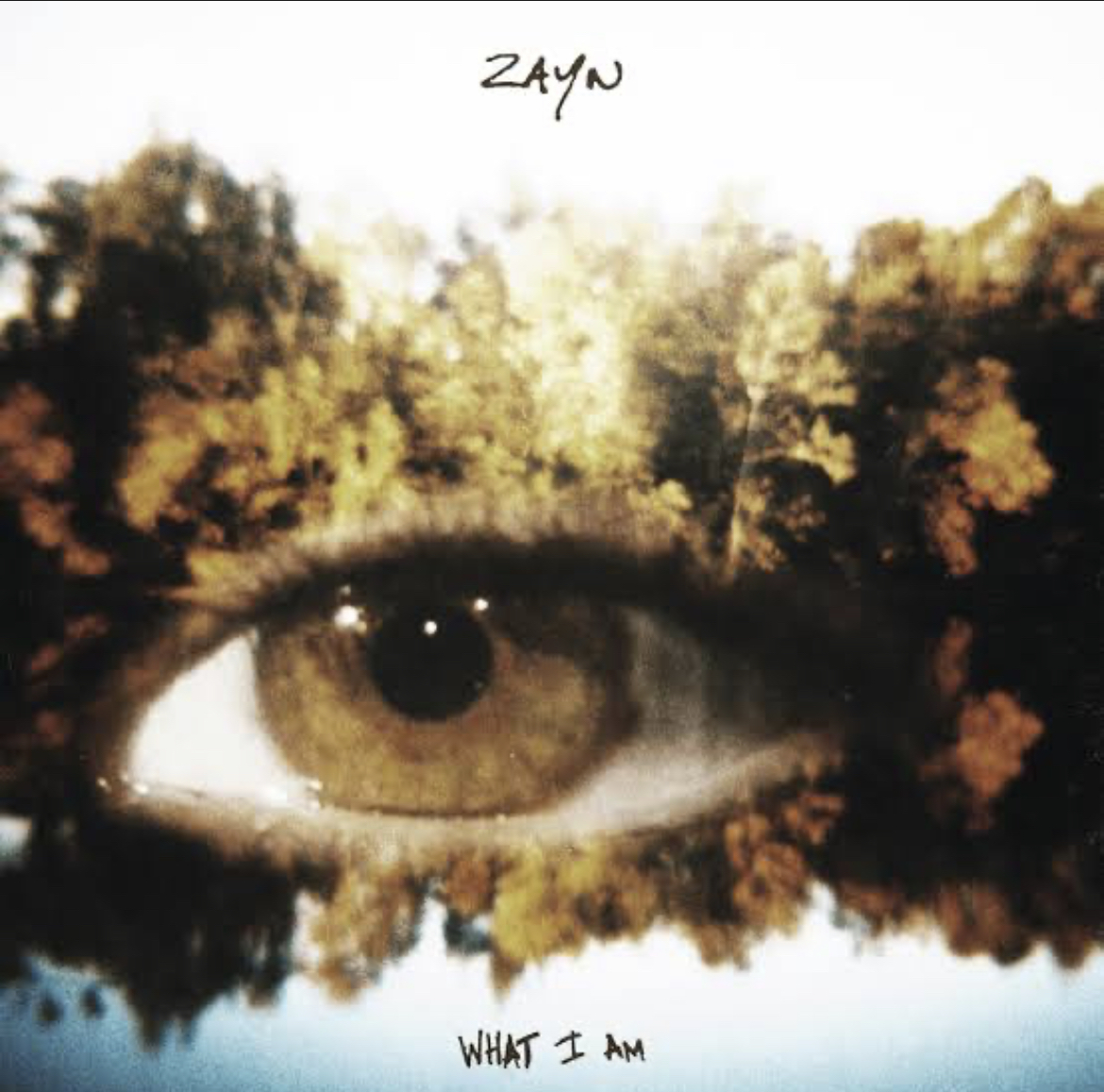 ZAYN - What I Am Mp3 download