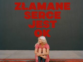 Daria Zawiałow Złamane serce jest OK Mp3 Download