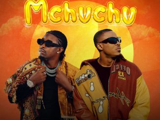 Mocco Genius Ft Alikiba - Mchuchu