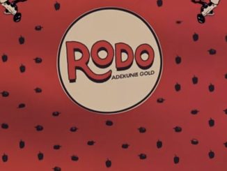 Adekunle Gold Rodo Mp3 Download