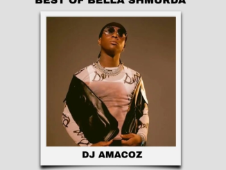 DJ Amacoz - Best Of Bella Shmurda 2023 MIX