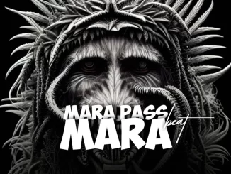 Download Mara Beat by DJ Khalifa audio mp3