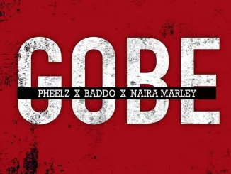 Pheelz, Olamide & Naira Marley - Gobe