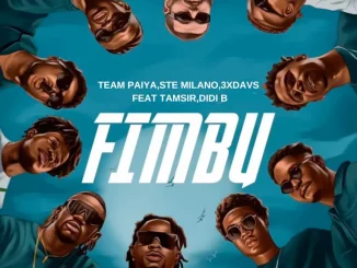 Team Paiya, Ste Milano & 3xdavs - Fimbu (feat. Didi B & Tam Sir)