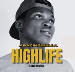 Apacino Mulla Egwu Motor Mp3 Download