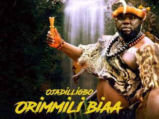 Ojadiligbo Orimmili Biaa Mp3 Download