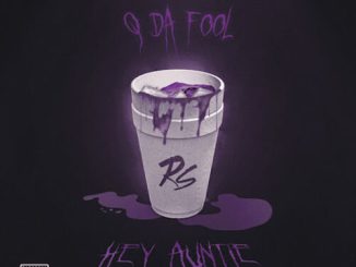 Q Da Fool – Hey Auntie